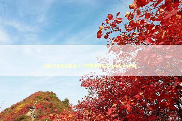 短线交易实战指南 121只股票突破五日均线操作策略