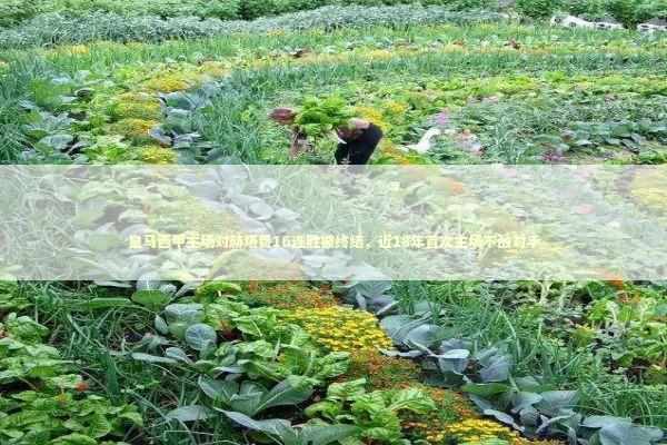 皇马西甲主场对赫塔费16连胜被终结，近18年首次主场不敌对手