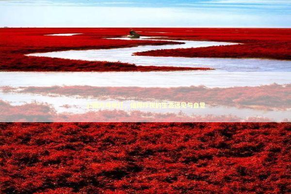 公园为鸟熄灯，值得珍视的生态远见与自觉