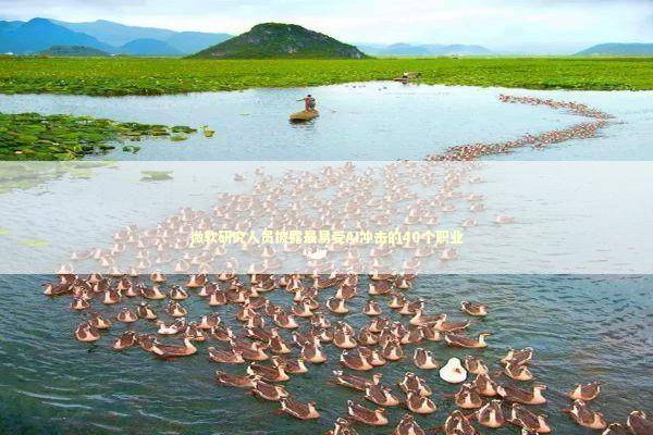 微软研究人员披露最易受AI冲击的40个职业