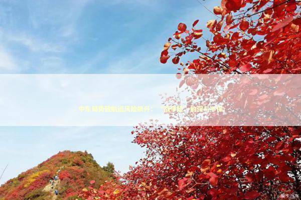 中东局势致航运风险飙升：“战争险”的保与不保