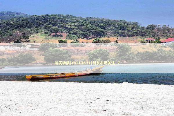 皖天转债(sh113631)引发市场关注_7