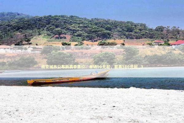 南京城市公布新赛季票价：单场50元起，套票580元起_3