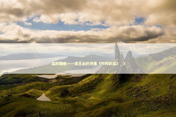 盐的隐喻——读王山的诗集《时间的盐》_3