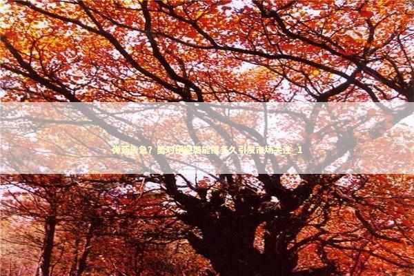 弹药告急？美对伊空袭能撑多久引发市场关注_1