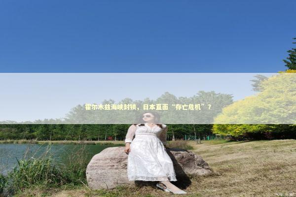 霍尔木兹海峡封锁，日本直面“存亡危机”？