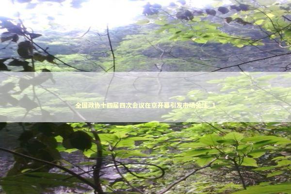 全国政协十四届四次会议在京开幕引发市场关注_1