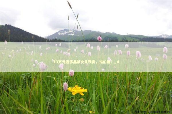 13万元奢侈品被女儿贱卖，谁的错？_4