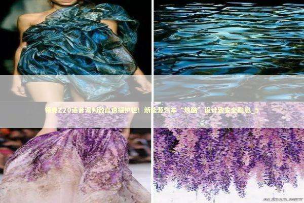 领克Z20语音误判致高速撞护栏！新能源汽车“炫酷”设计致安全隐患_5