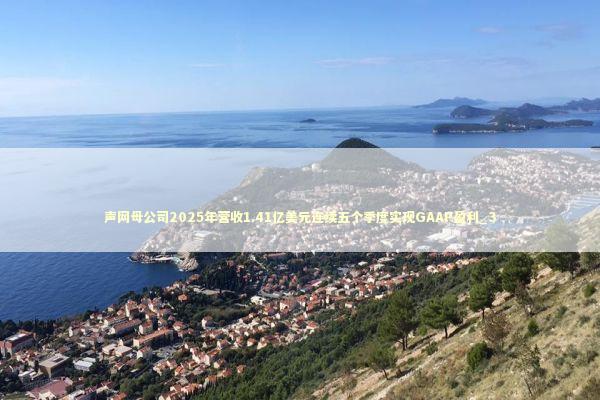 声网母公司2025年营收1.41亿美元连续五个季度实现GAAP盈利_3