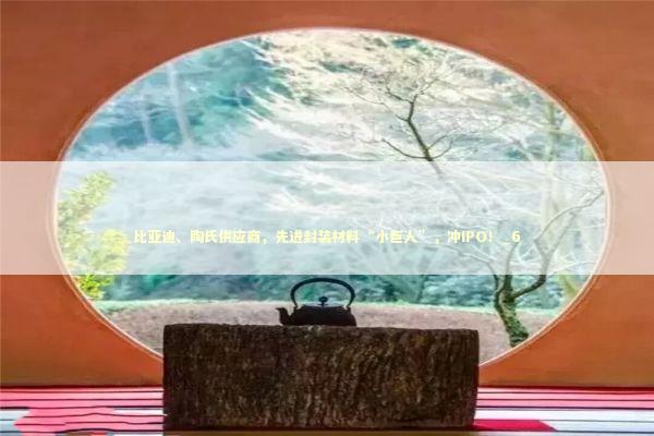 比亚迪、陶氏供应商，先进封装材料“小巨人”，冲IPO！_6