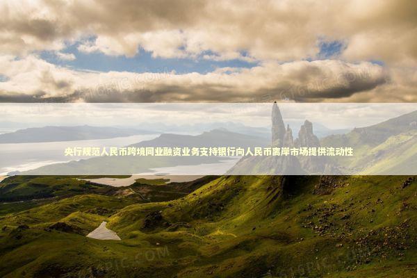 央行规范人民币跨境同业融资业务支持银行向人民币离岸市场提供流动性