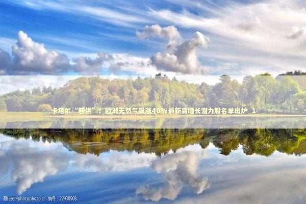 卡塔尔“断供”！欧洲天然气飙涨40%最新高增长潜力股名单出炉_1