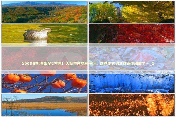 5000元机票飙至2万元！大批中东航线停运，这些地方到北京票价涨疯了…_1