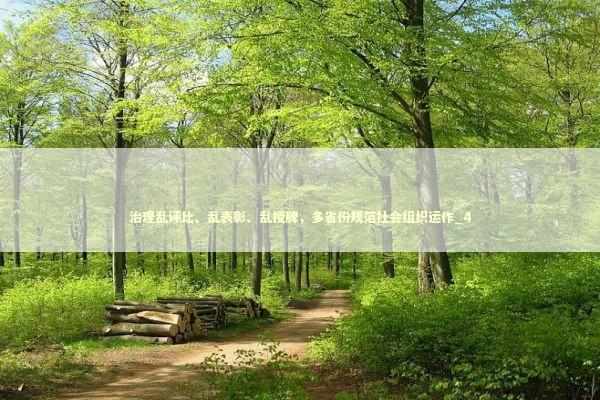 治理乱评比、乱表彰、乱授牌，多省份规范社会组织运作_4