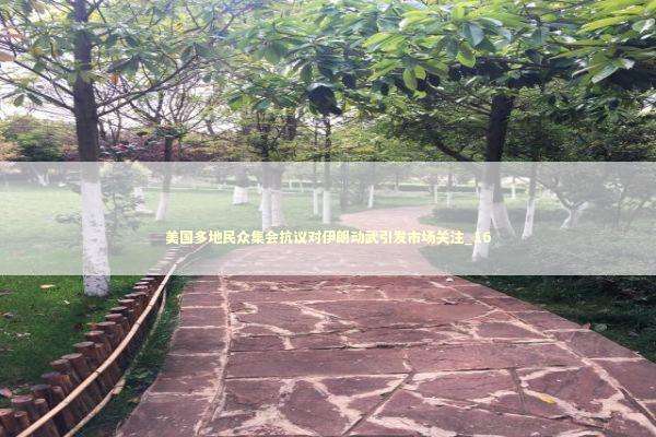 美国多地民众集会抗议对伊朗动武引发市场关注_16