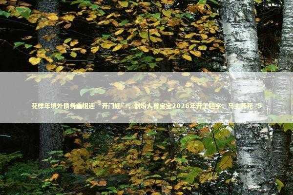 花样年境外债务重组迎“开门红”，创始人曾宝宝2026年开工题字：马上开花_5