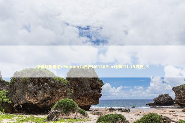 宁德时代电池+Momenta日产N6180Pro+限时11.19万元_3 新闻