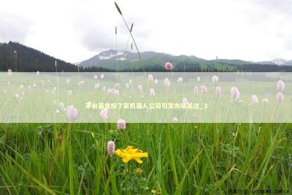 茅台基金投了家机器人公司引发市场关注_3