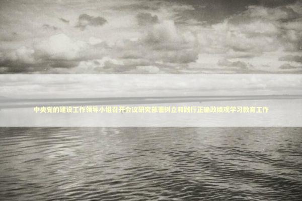 中央党的建设工作领导小组召开会议研究部署树立和践行正确政绩观学习教育工作