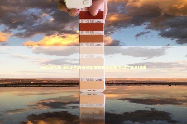 你的电动车可能正在被合法销售但你永远想不到它来自哪里