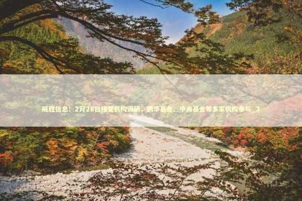 威胜信息：2月28日接受机构调研，鹏华基金、中海基金等多家机构参与_3