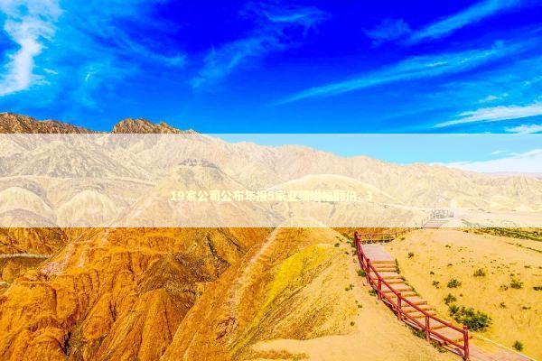 19家公司公布年报5家业绩增幅翻倍_3