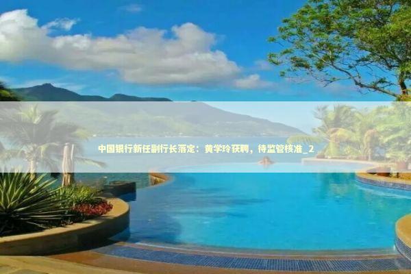 中国银行新任副行长落定：黄学玲获聘，待监管核准_2
