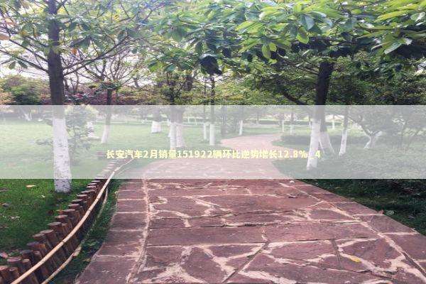 长安汽车2月销量151922辆环比逆势增长12.8%_4