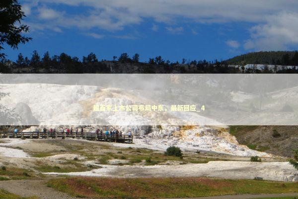 超百家上市公司布局中东，最新回应_4