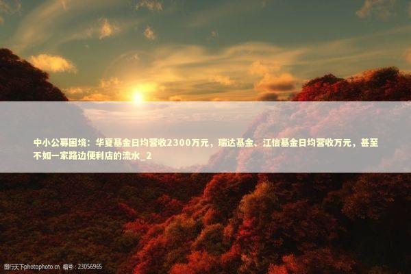 中小公募困境：华夏基金日均营收2300万元，瑞达基金、江信基金日均营收万元，甚至不如一家路边便利店的流水_2