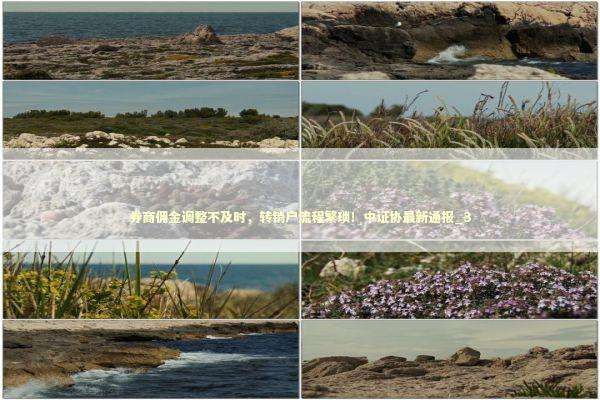 券商佣金调整不及时，转销户流程繁琐！中证协最新通报_3