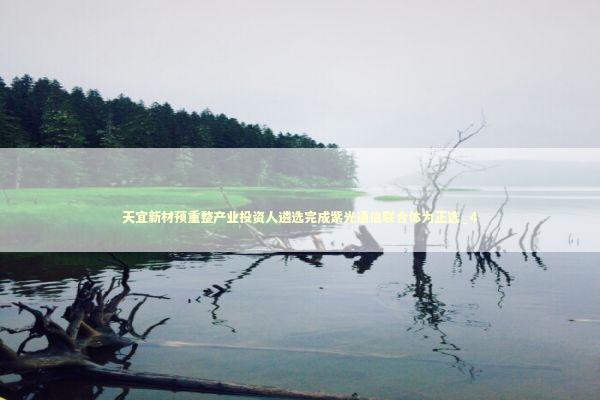 天宜新材预重整产业投资人遴选完成紫光通信联合体为正选_4