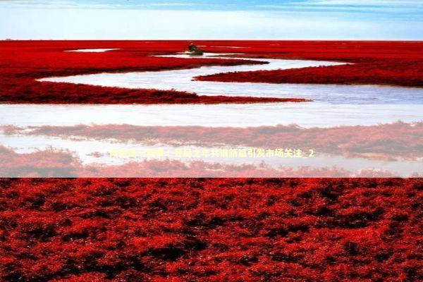 两会第一观察丨开局之年共谱新篇引发市场关注_2