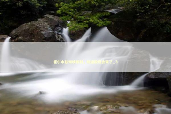 霍尔木兹海峡被封，航运股机会来了_3