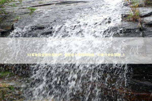 52家鲁股业绩快报出炉！营业收入净利润双增，AI算力龙头领跑_5