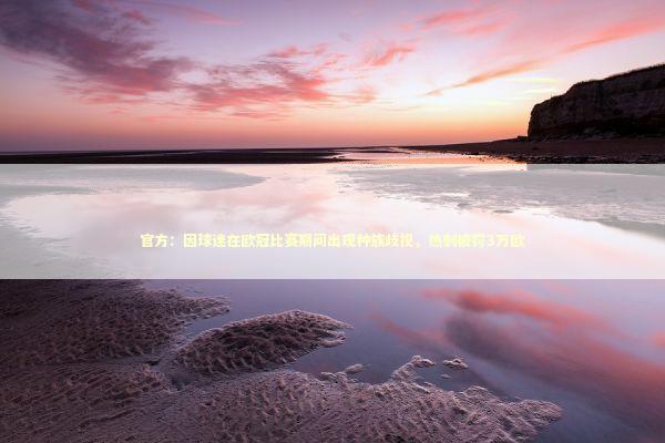 官方：因球迷在欧冠比赛期间出现种族歧视，热刺被罚3万欧