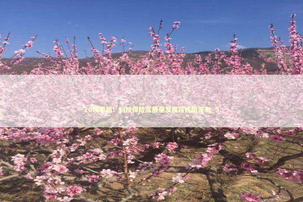 20项举措！科技保险高质量发展路线图发布_5