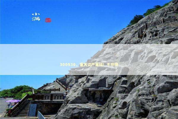 300936，重大资产重组！不停牌