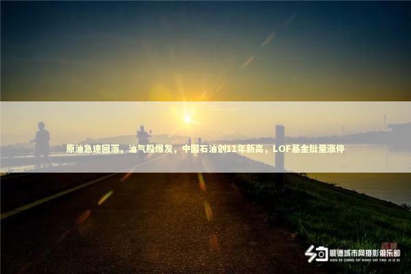 原油急速回落，油气股爆发，中国石油创11年新高，LOF基金批量涨停