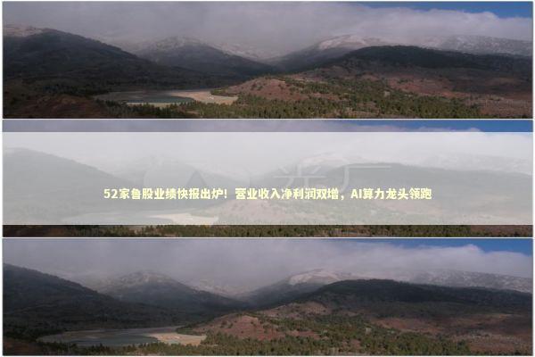 52家鲁股业绩快报出炉！营业收入净利润双增，AI算力龙头领跑