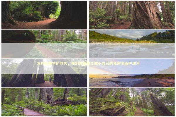 为何在数字化时代，我们需要建立属于自己的私密沟通护城河 IT技术