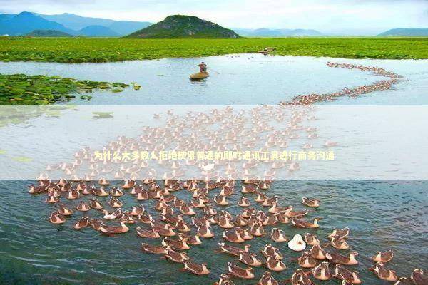 为什么大多数人拒绝使用普通的即时通讯工具进行商务沟通 IT技术