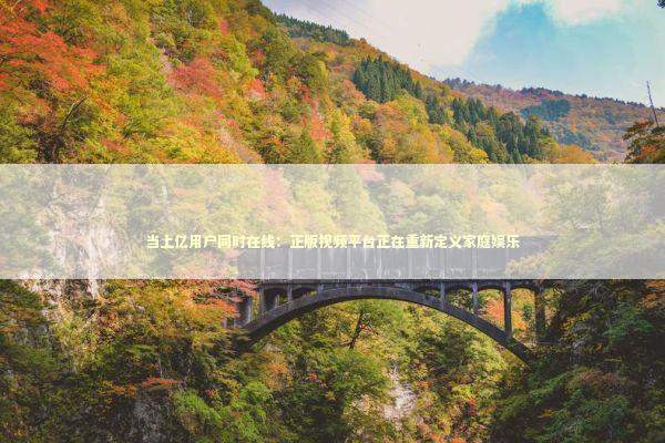 当上亿用户同时在线：正版视频平台正在重新定义家庭娱乐