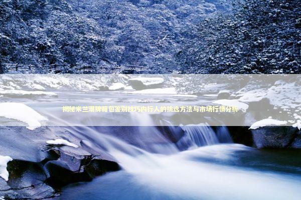 揭秘米兰潮牌箱包鉴别技巧内行人的挑选方法与市场行情分析 时尚用品