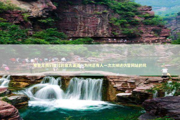 那些年我们追过的官方渠道：为何总有人一次次掉进仿冒网站的坑 IT技术