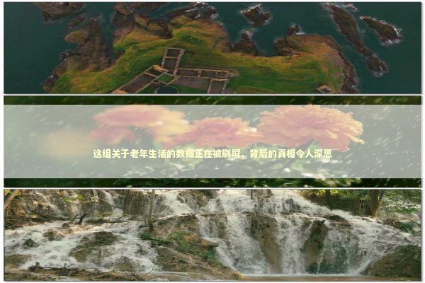 这组关于老年生活的数据正在被刷屏，背后的真相令人深思