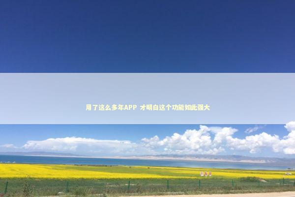用了这么多年APP 才明白这个功能如此强大 IT技术