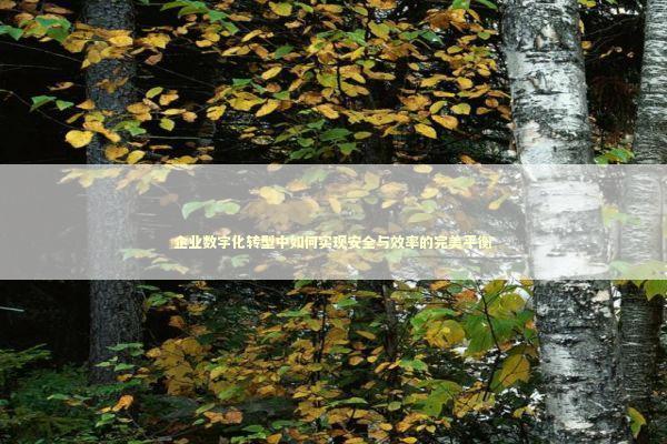 企业数字化转型中如何实现安全与效率的完美平衡